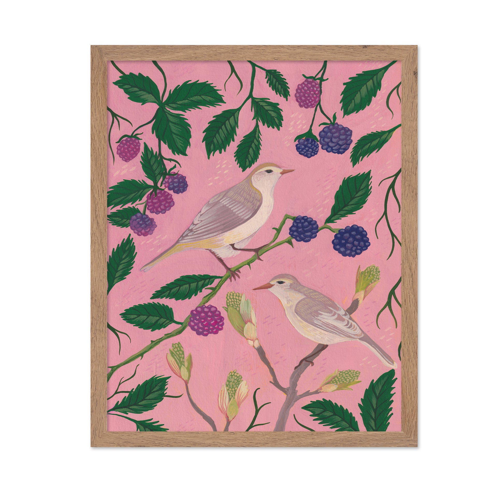 Songbirds And Berries