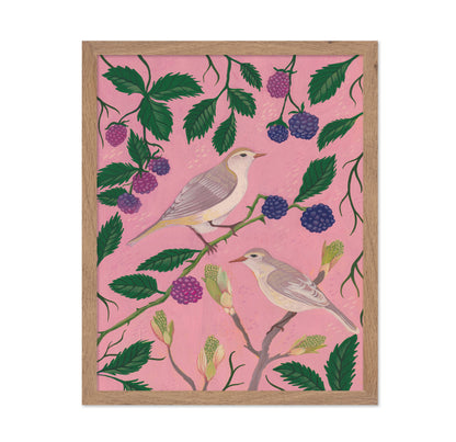 Songbirds And Berries