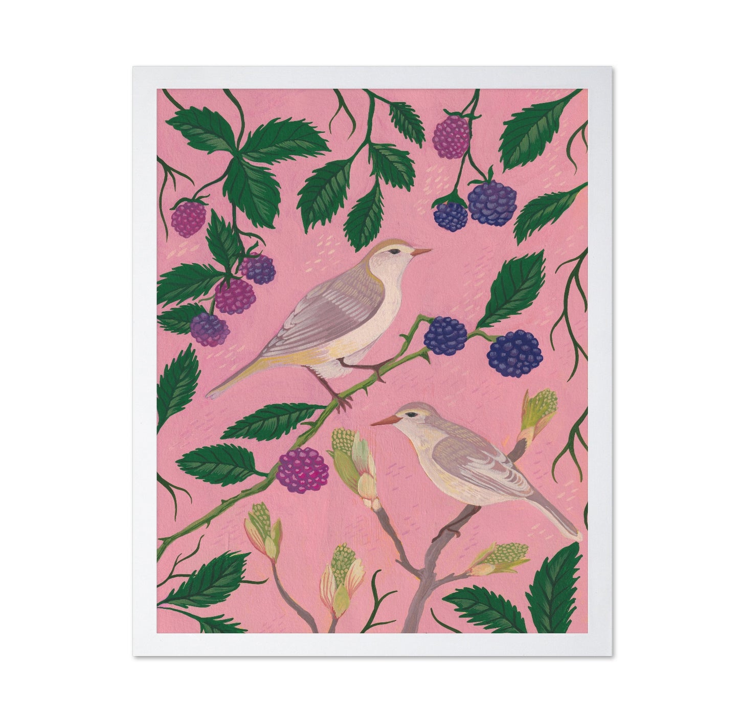 Songbirds And Berries