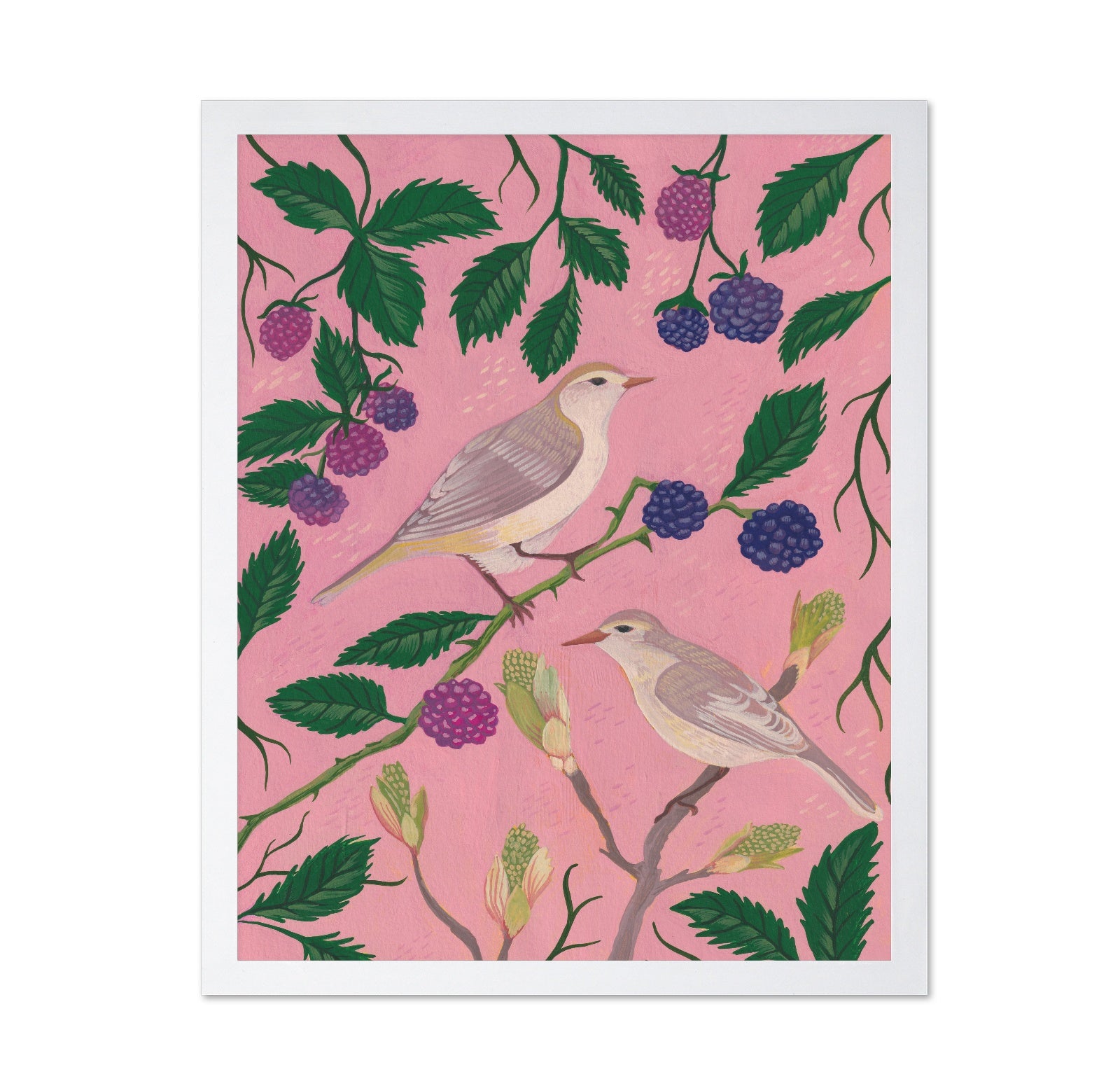 Songbirds And Berries