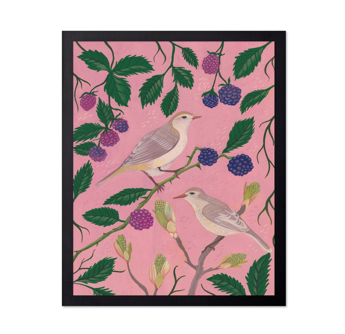 Songbirds And Berries