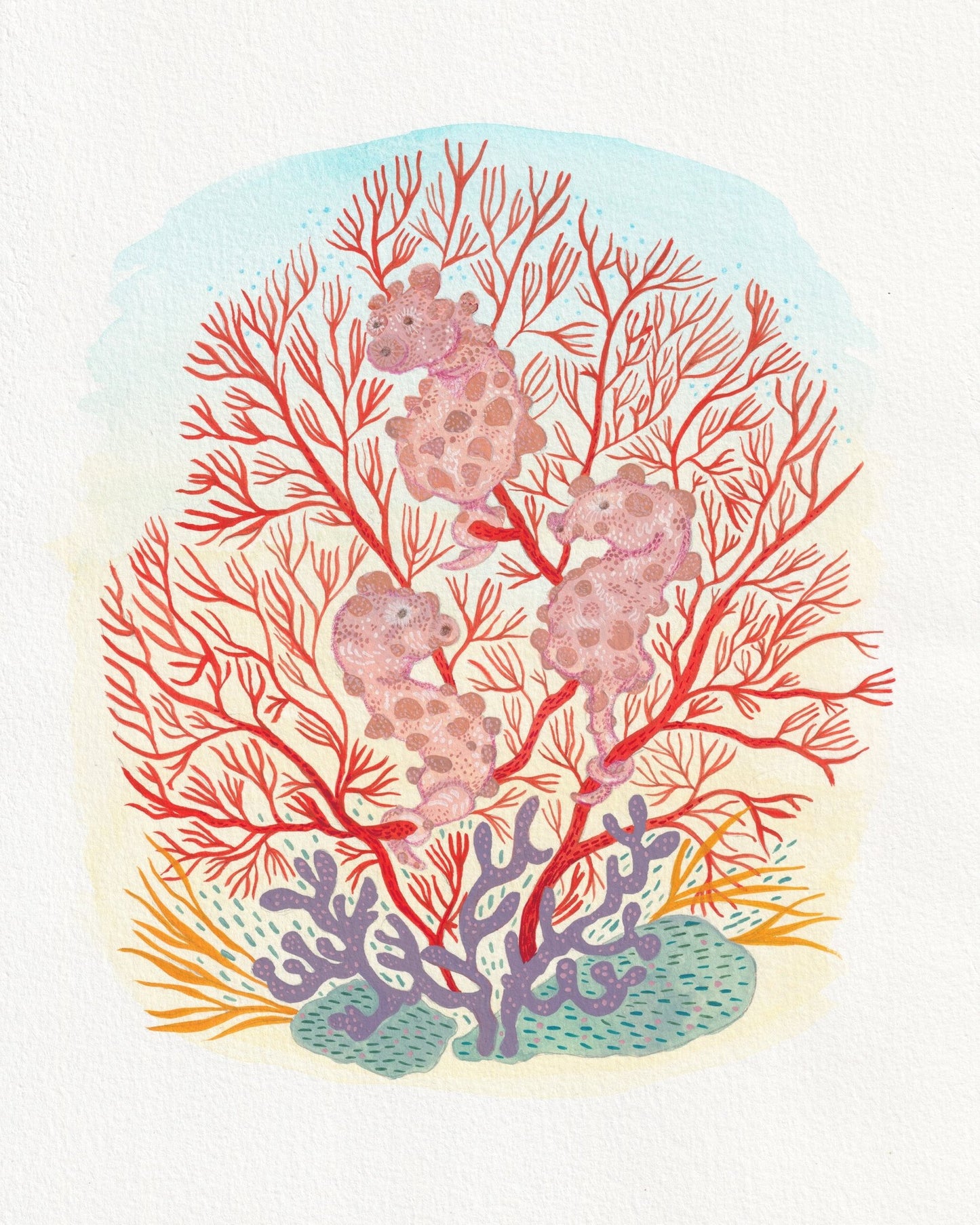 Pygmy Seahorse Coral