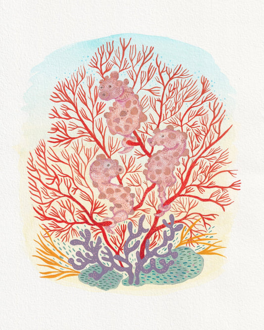 Pygmy Seahorse Coral