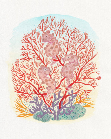 Pygmy Seahorse Coral