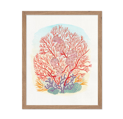 Pygmy Seahorse Coral