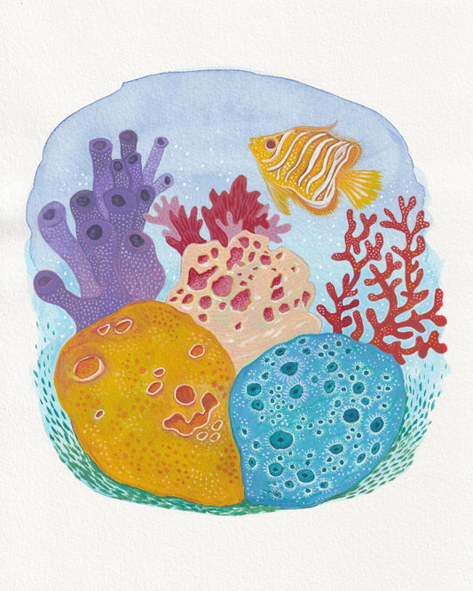 Tropical Reef Sponges