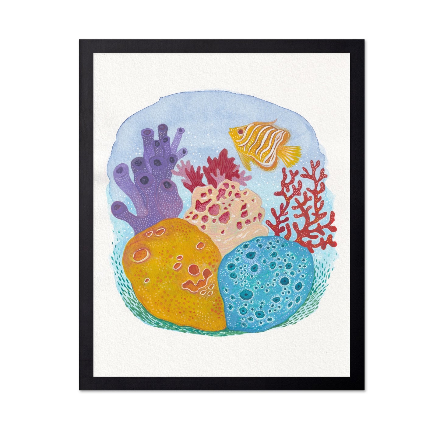 Tropical Reef Sponges