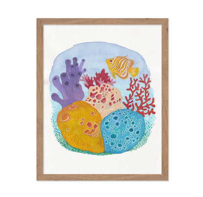 Tropical Reef Sponges