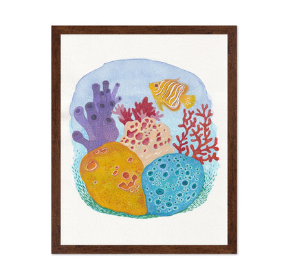 Tropical Reef Sponges