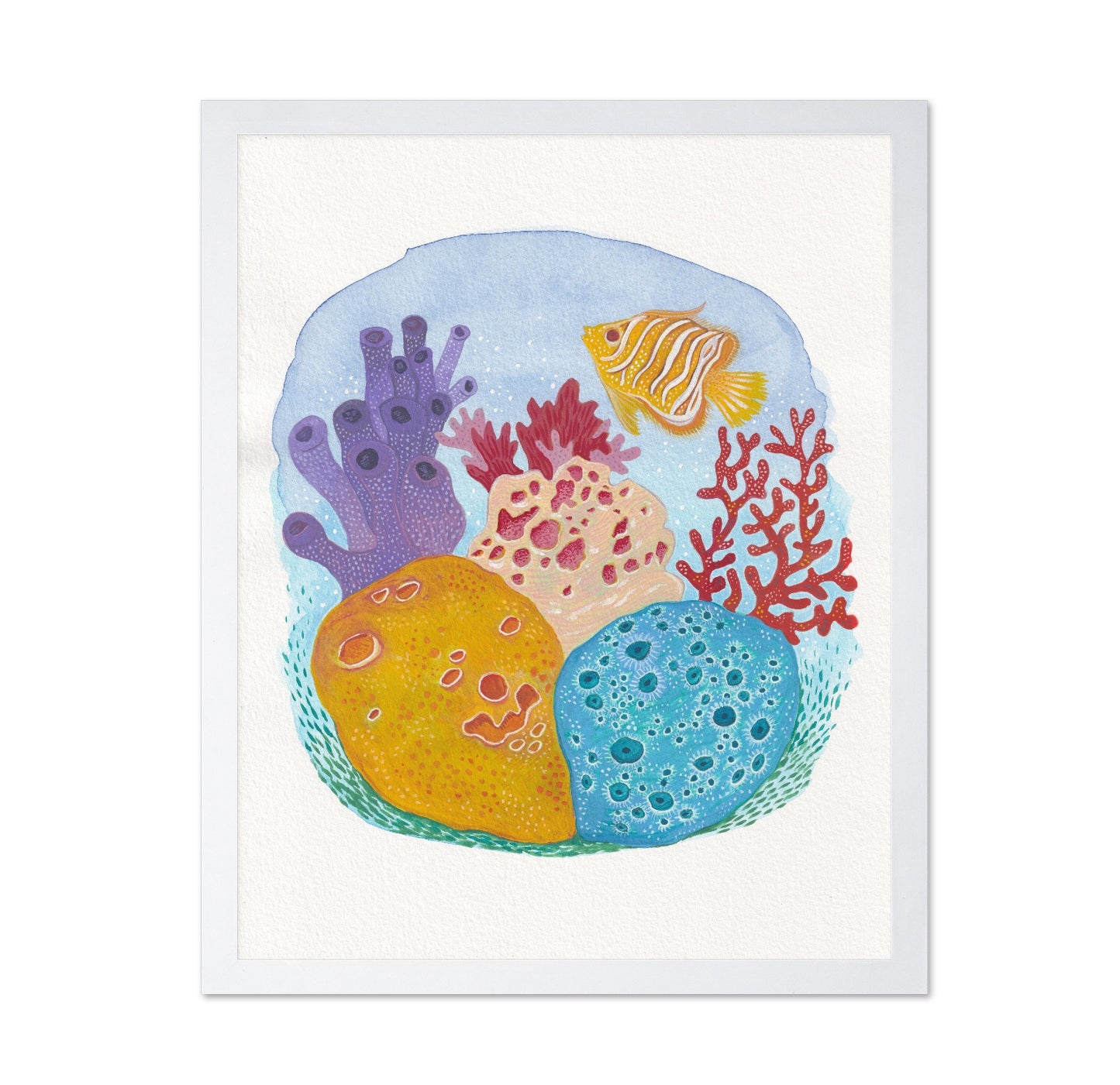 Tropical Reef Sponges