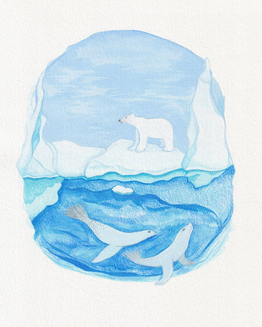 Arctic Bear And Seals