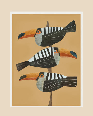 Tropical Toucan Trio