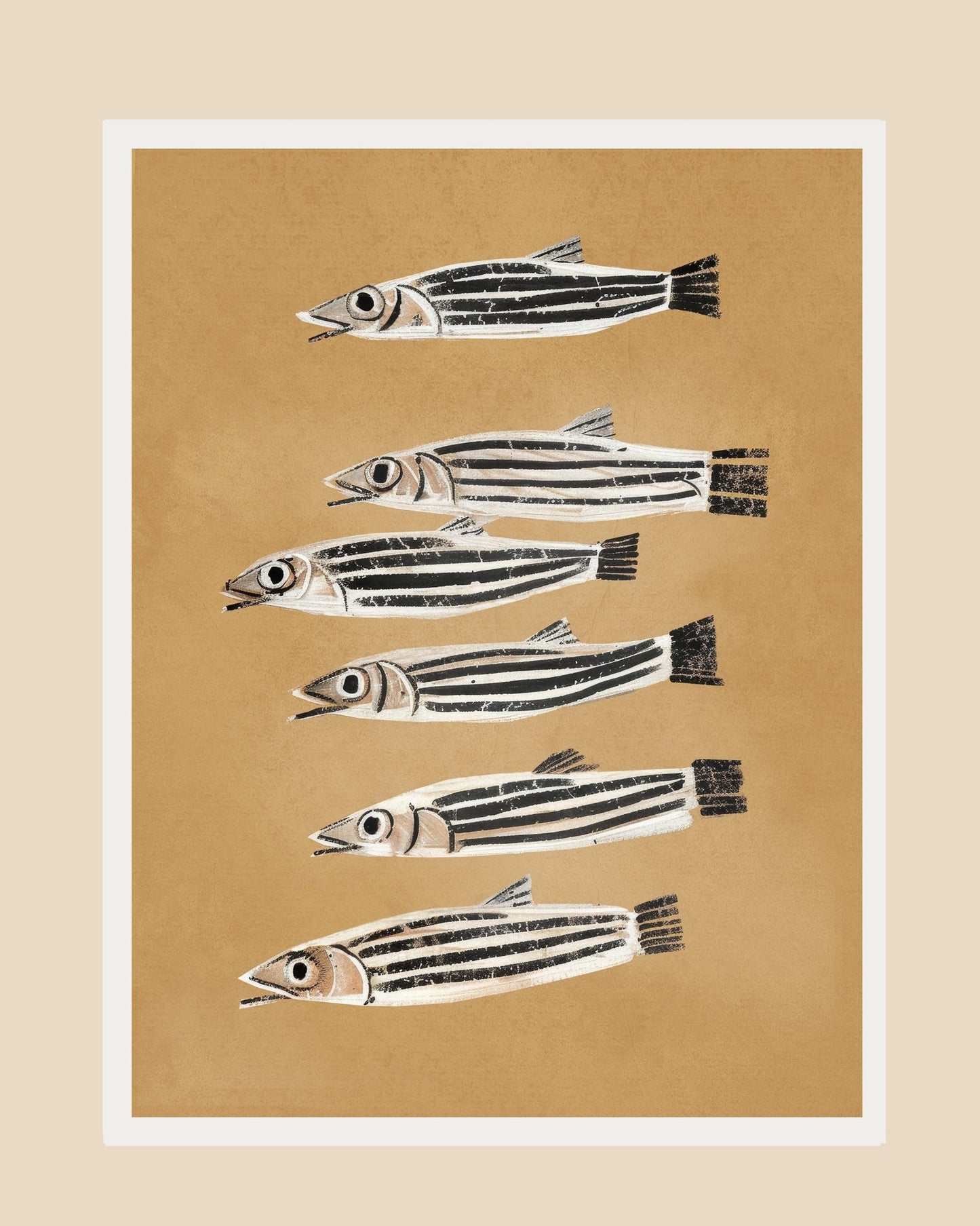 Striped Fish Study