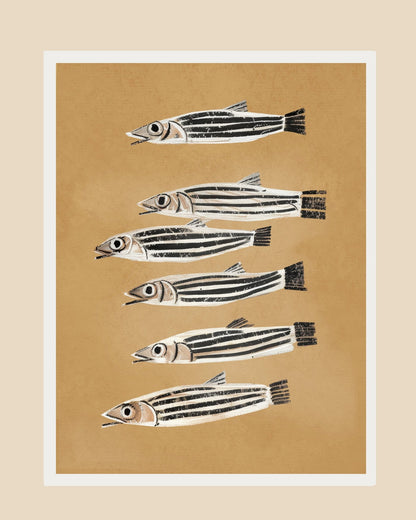 Striped Fish Study