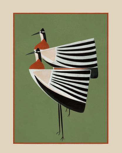 Striped Crane Duo