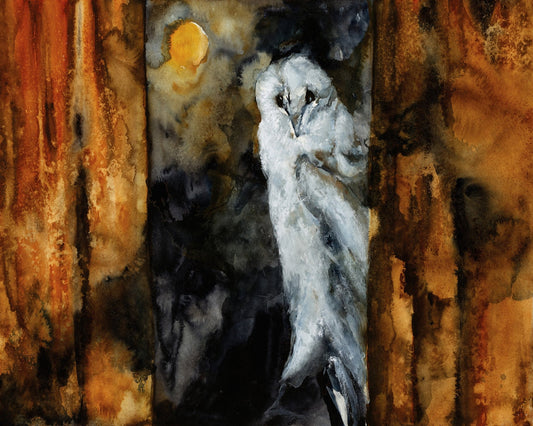 Moonlit Barn Owl