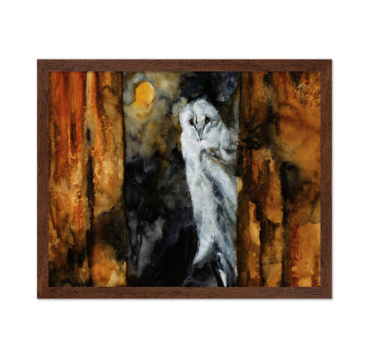 Moonlit Barn Owl