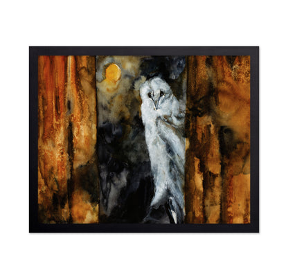 Moonlit Barn Owl