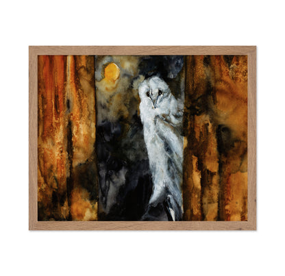 Moonlit Barn Owl