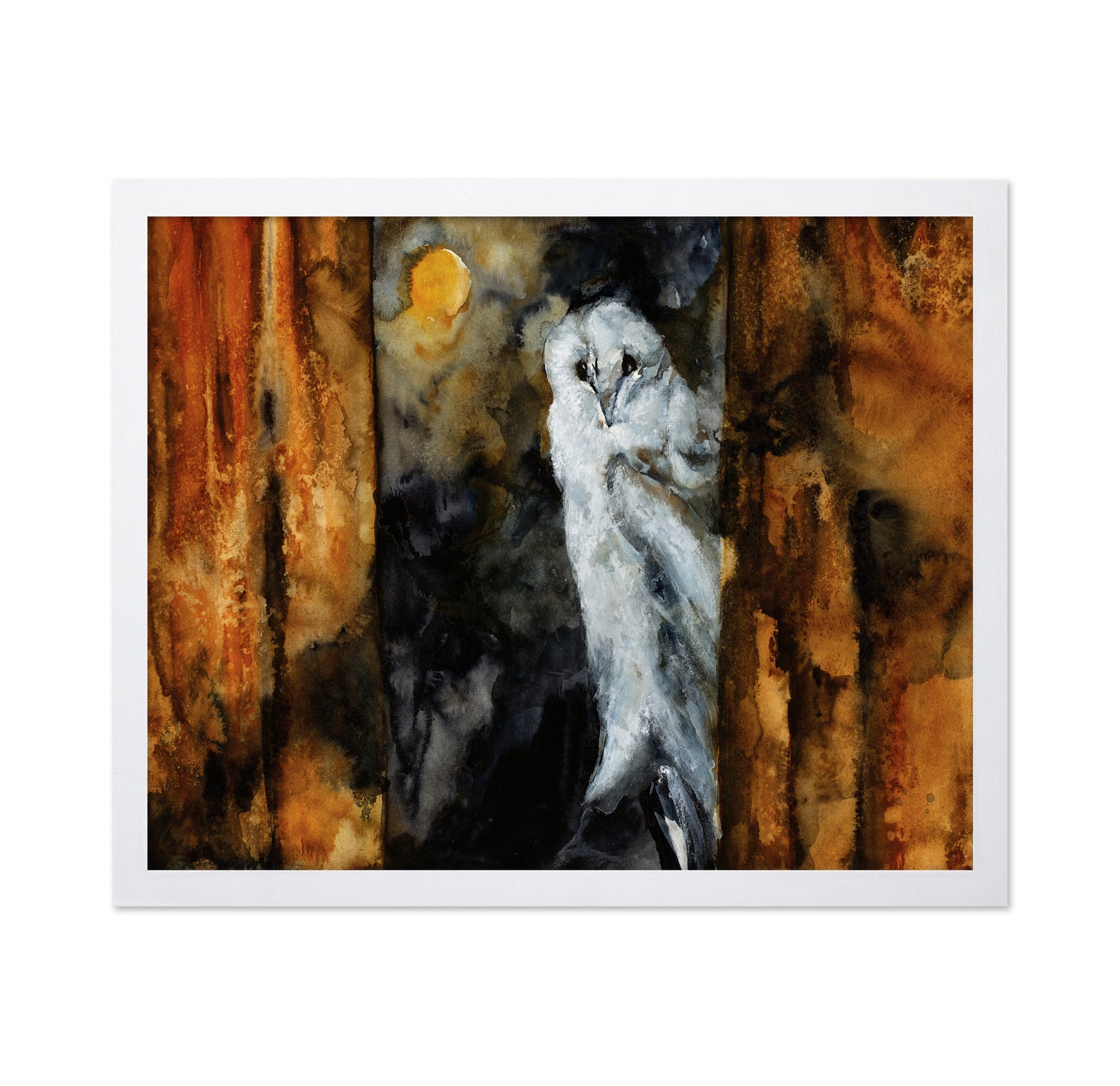 Moonlit Barn Owl