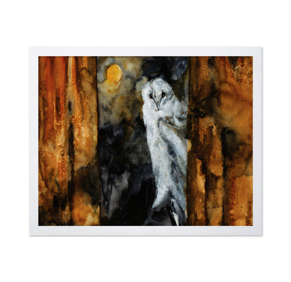 Moonlit Barn Owl