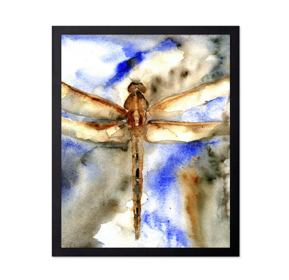 Rust Wing Dragonfly