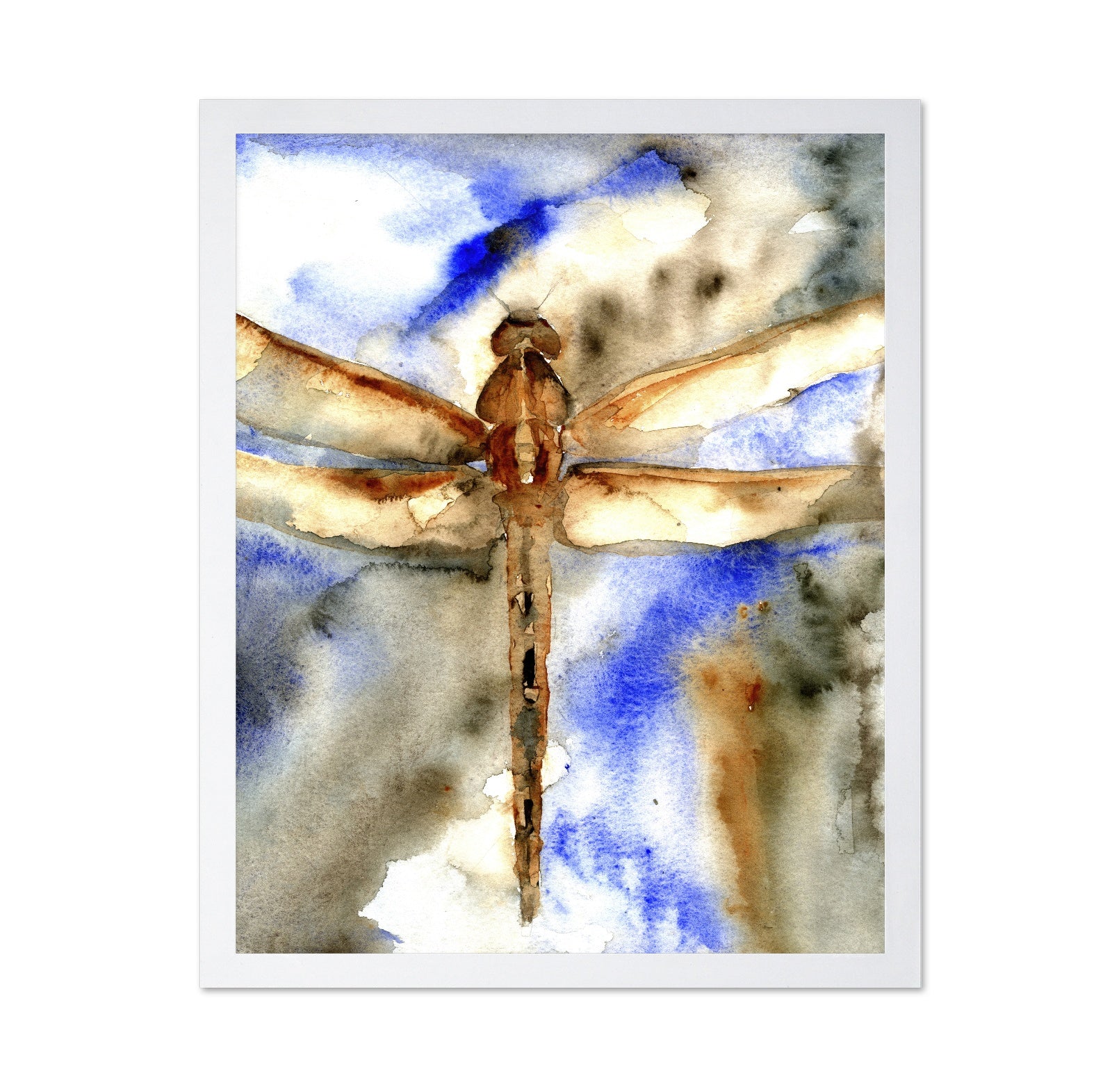 Rust Wing Dragonfly