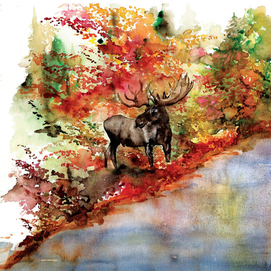 Autumn Moose Haven