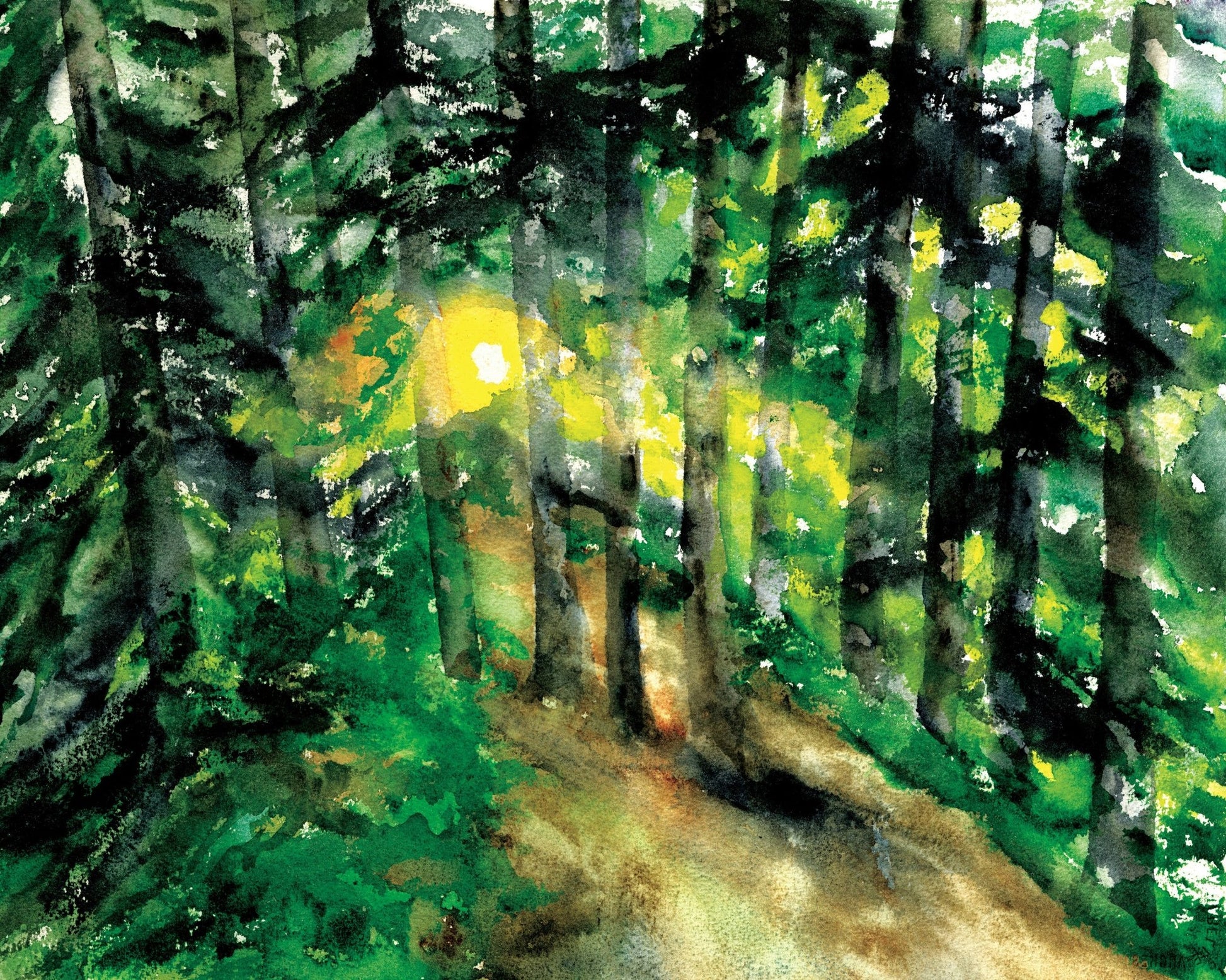 Sunlit Forest Path No1