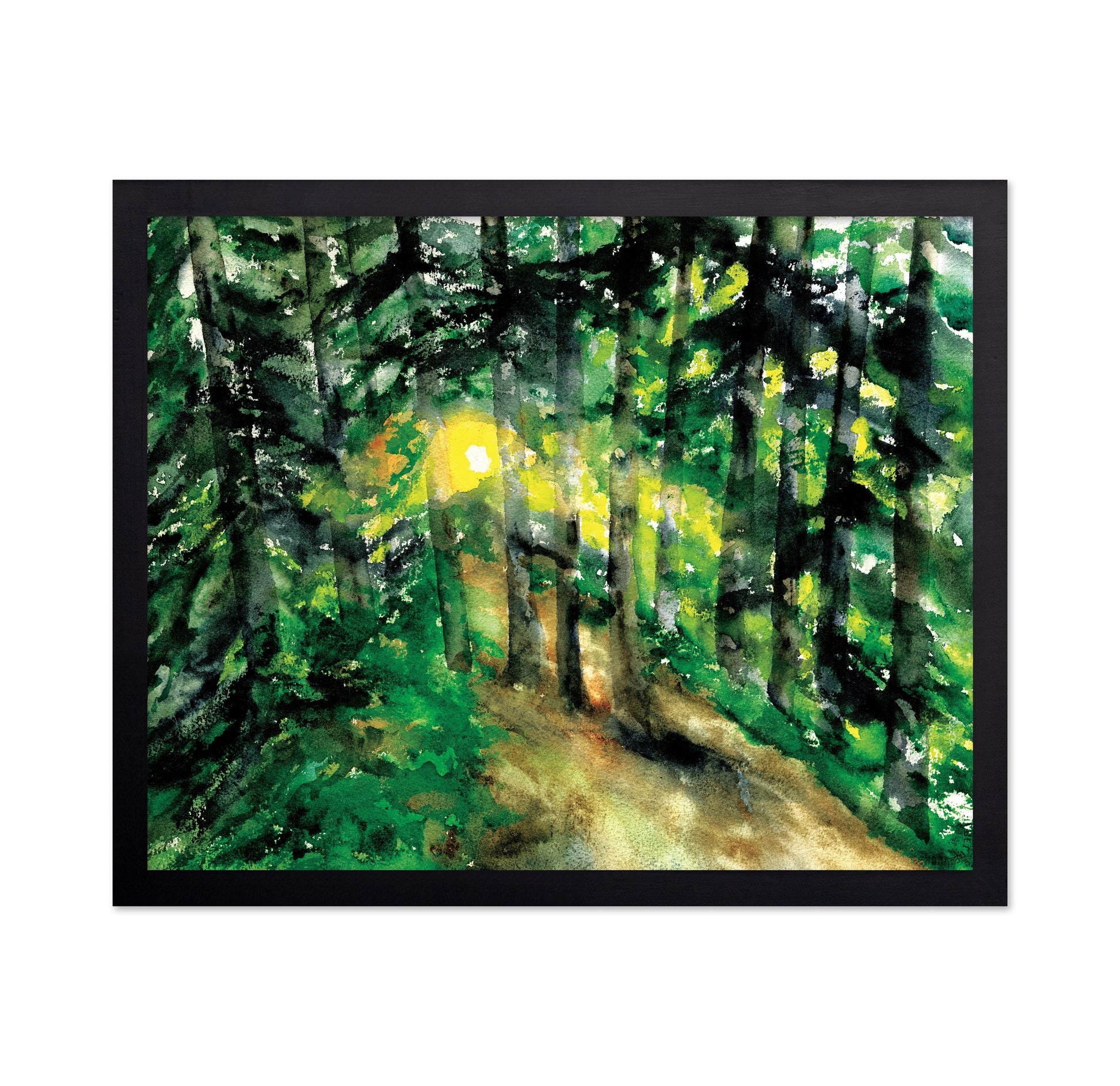 Sunlit Forest Path No1