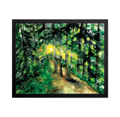 Sunlit Forest Path No1