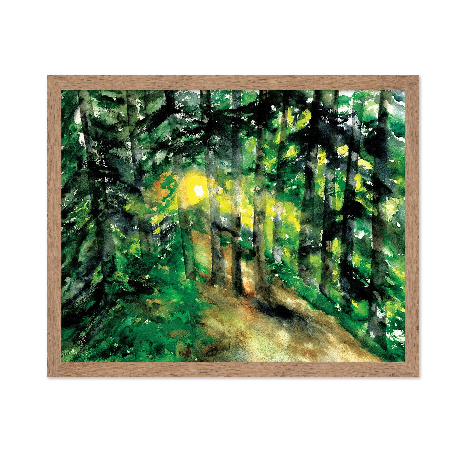 Sunlit Forest Path No1