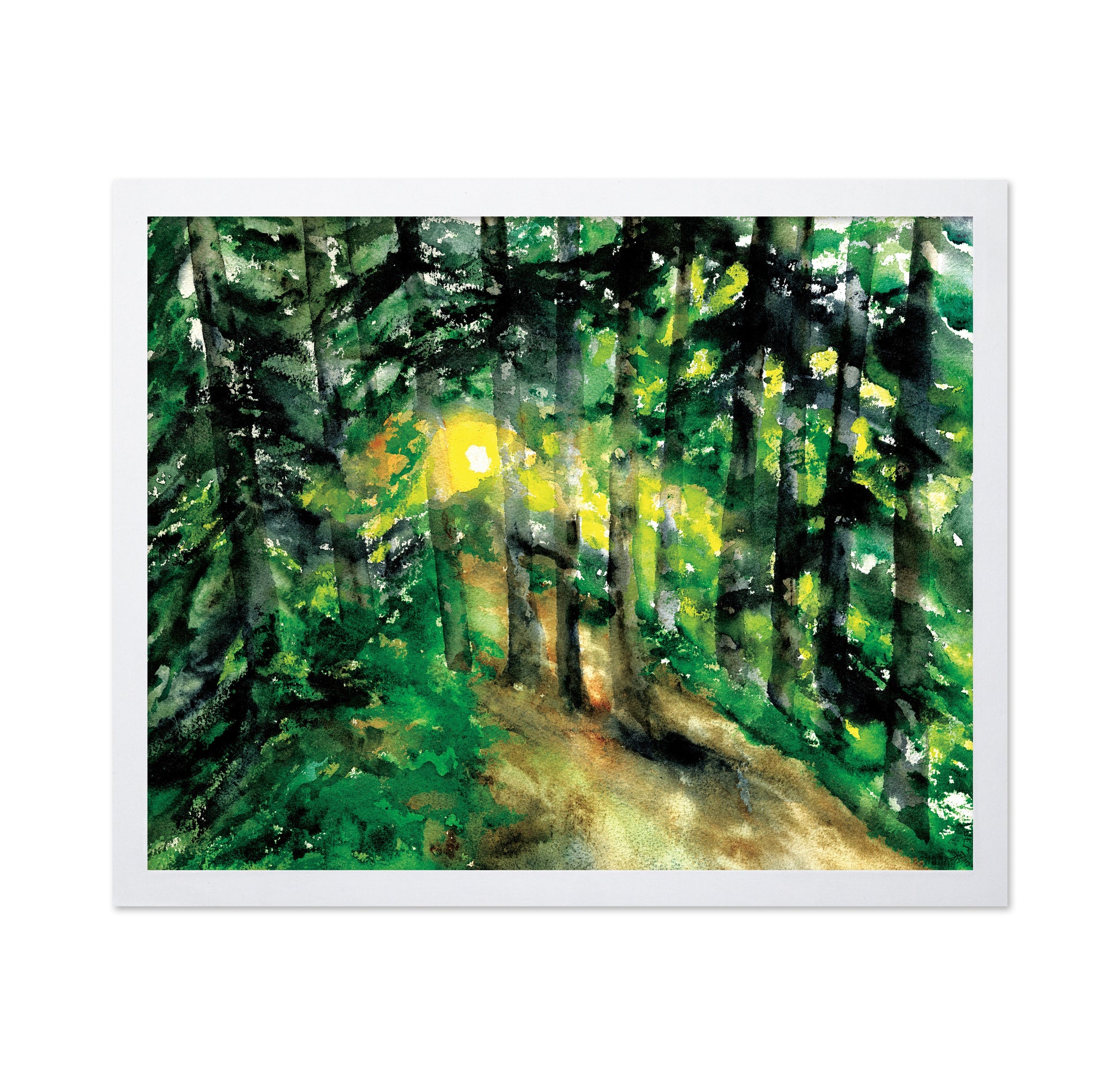Sunlit Forest Path No1