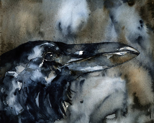 Midnight Raven Portrait
