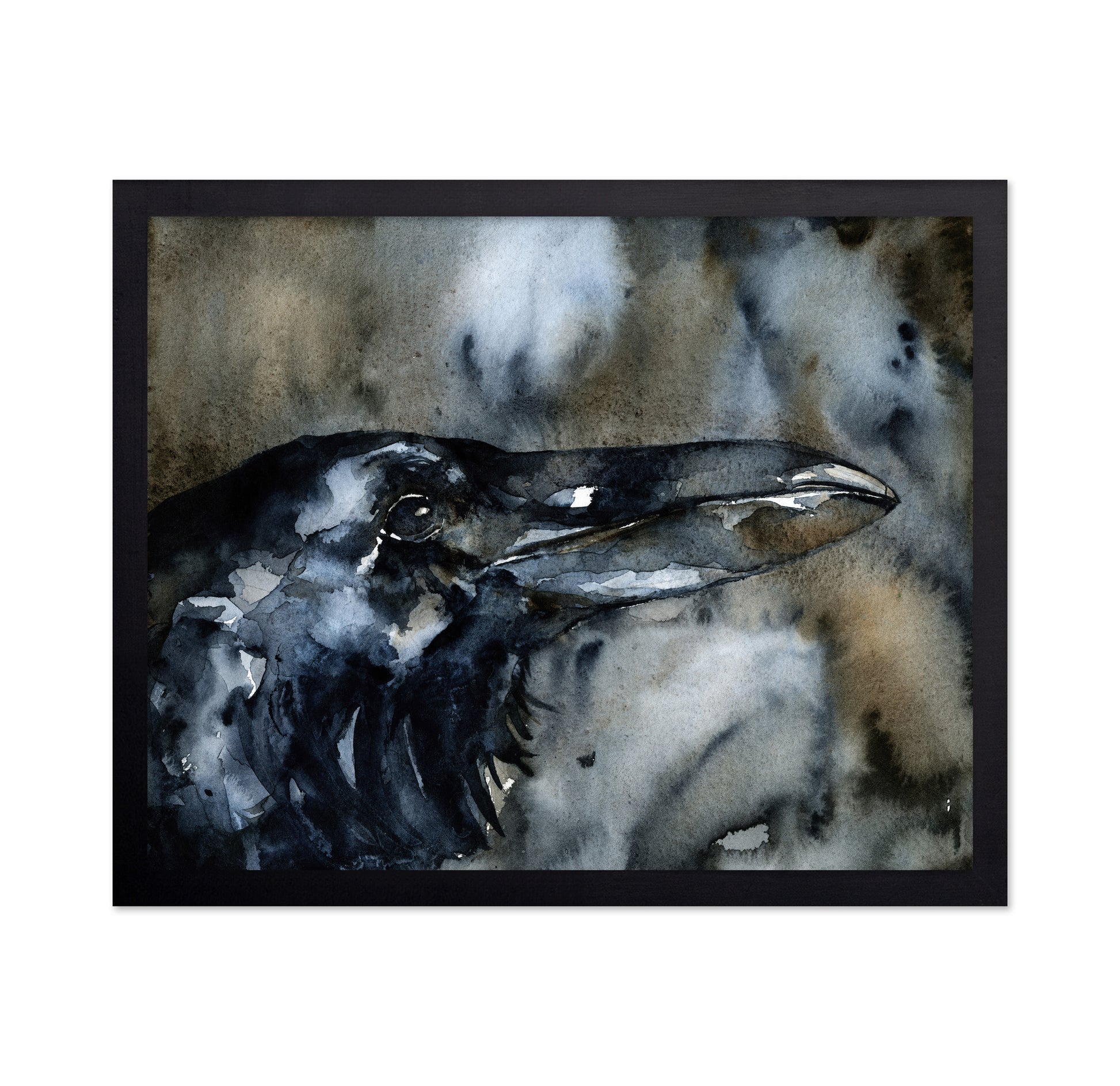 Midnight Raven Portrait