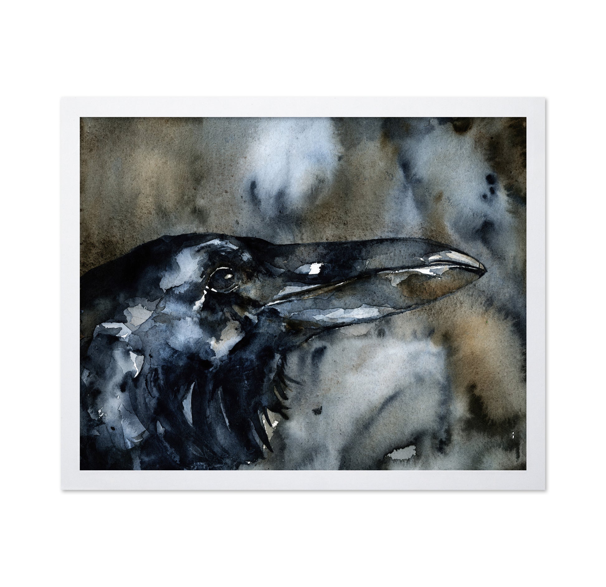Midnight Raven Portrait