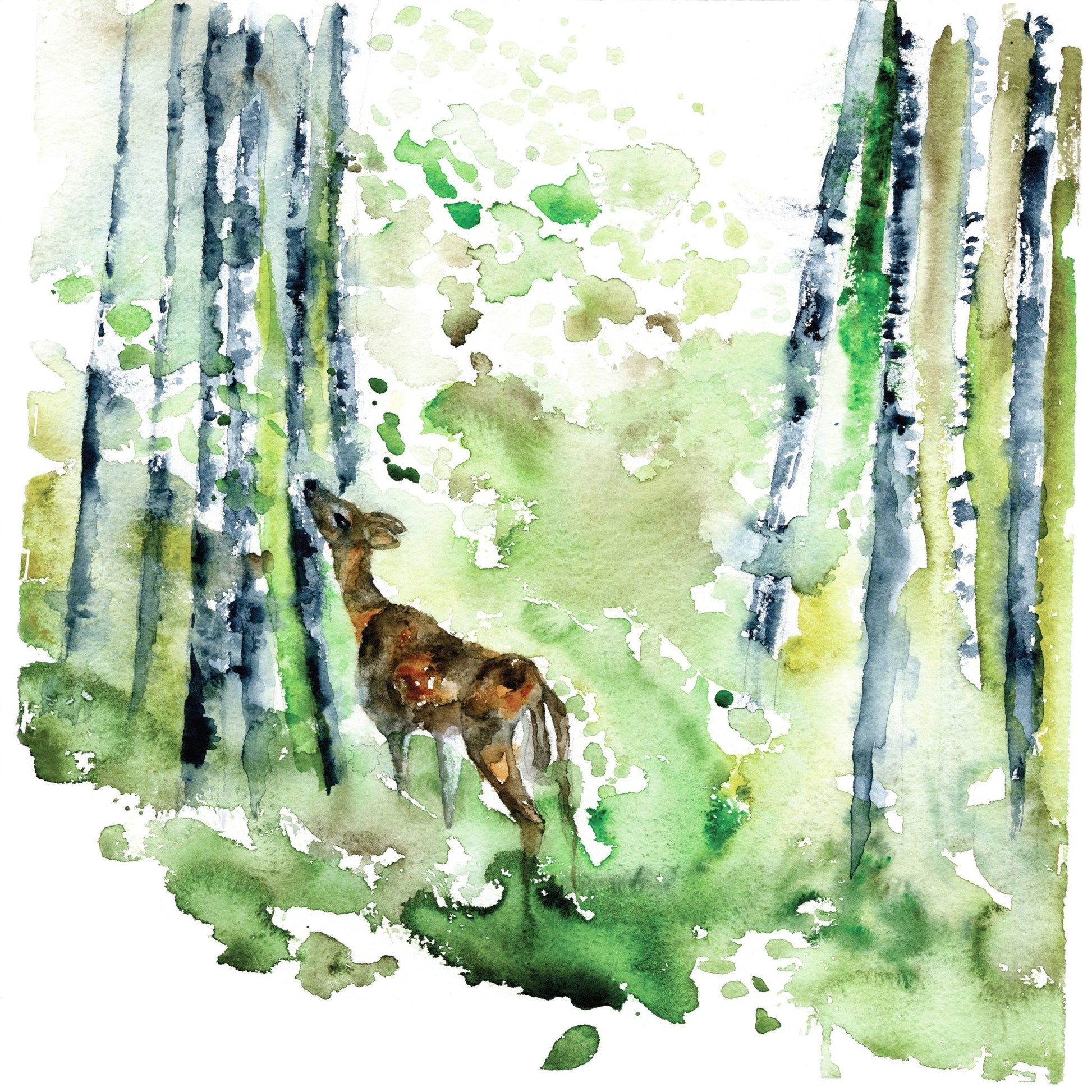 Forest Whisper