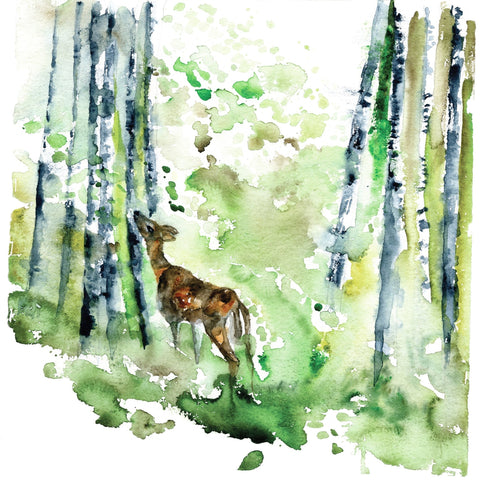 Forest Whisper