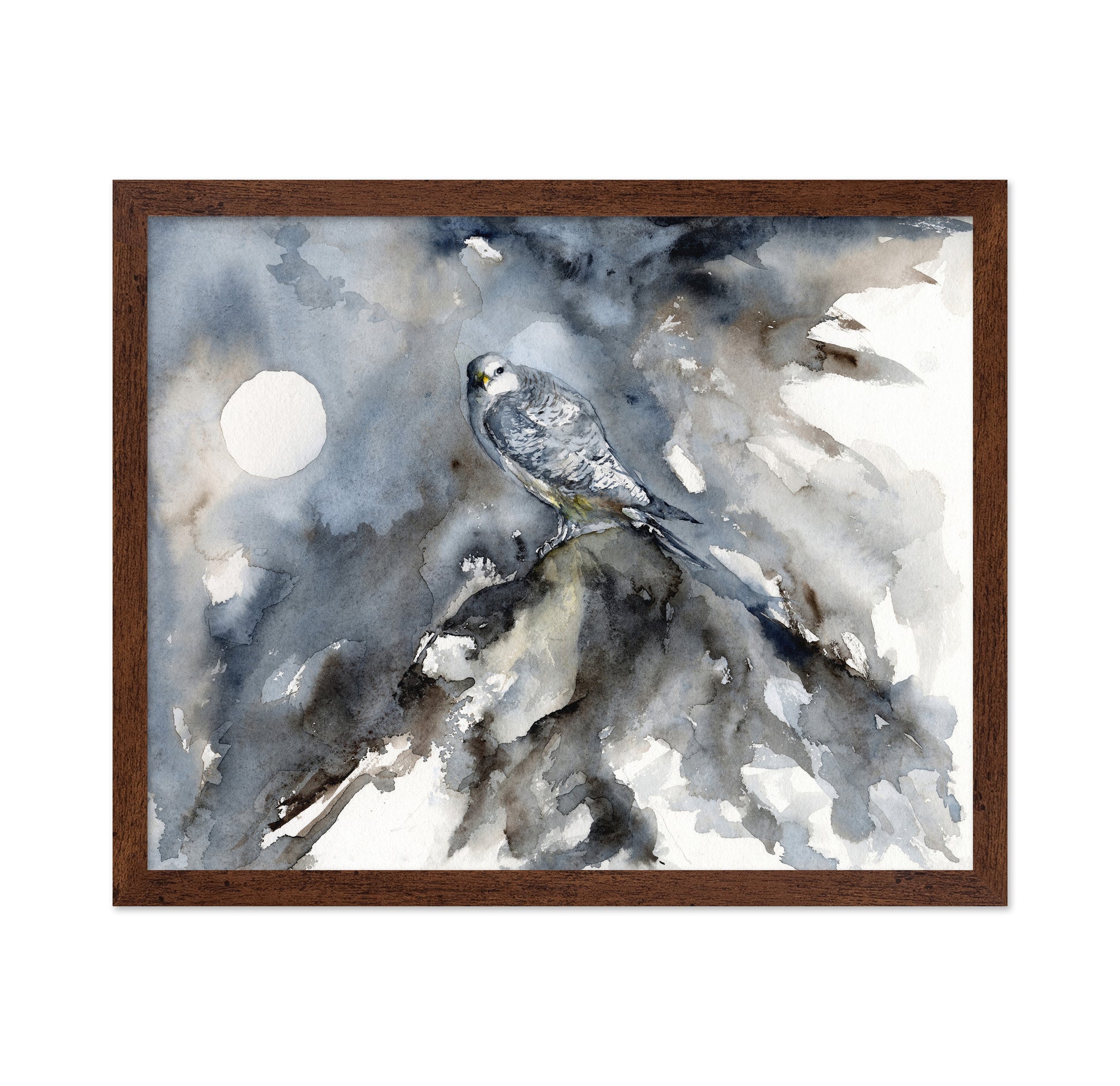 Silent Arctic Watch