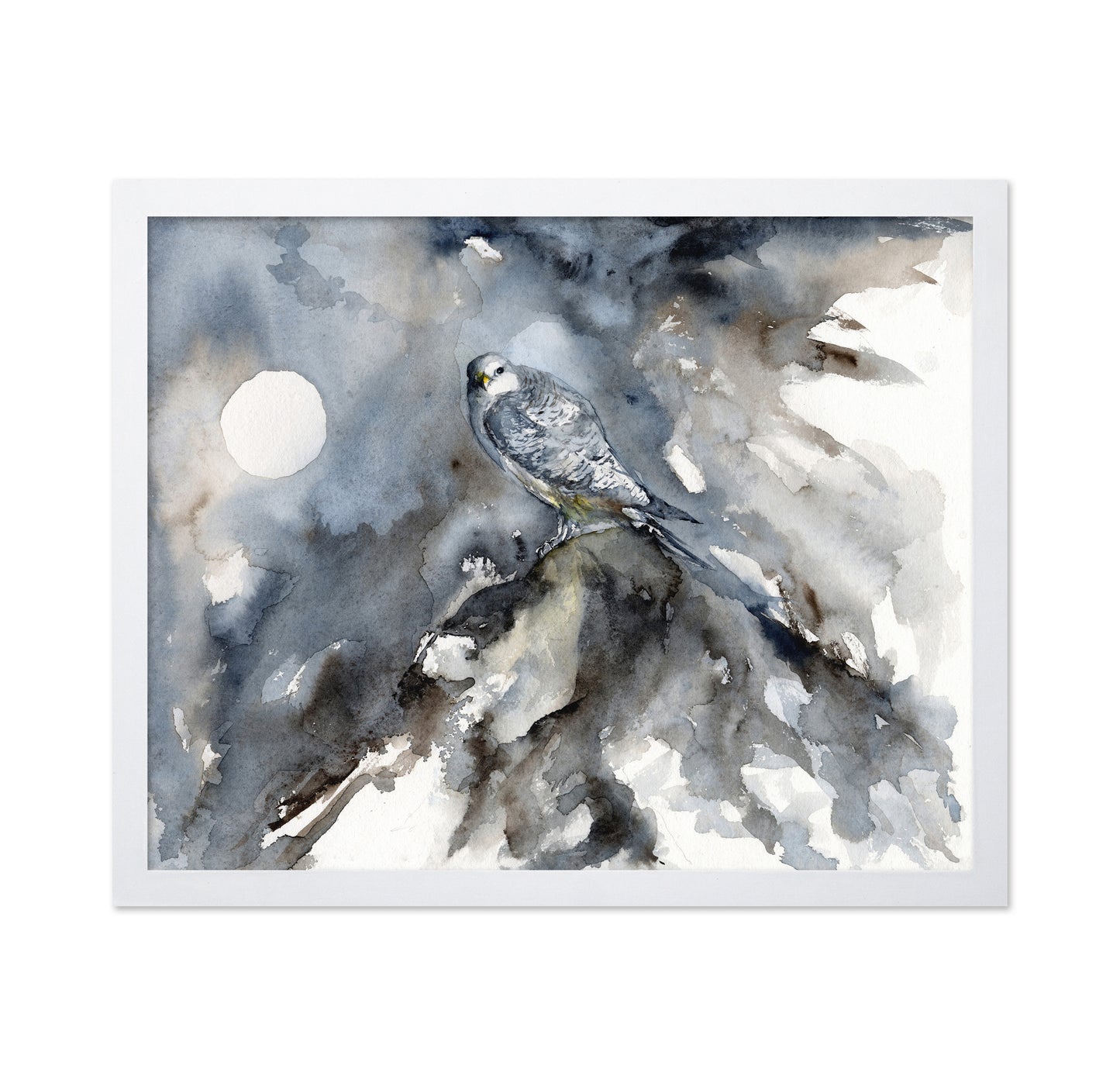 Silent Arctic Watch