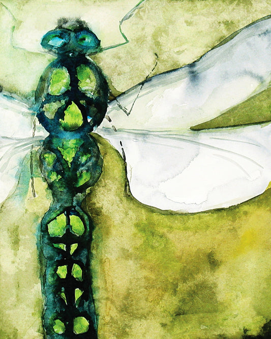 Emerald Dragonfly