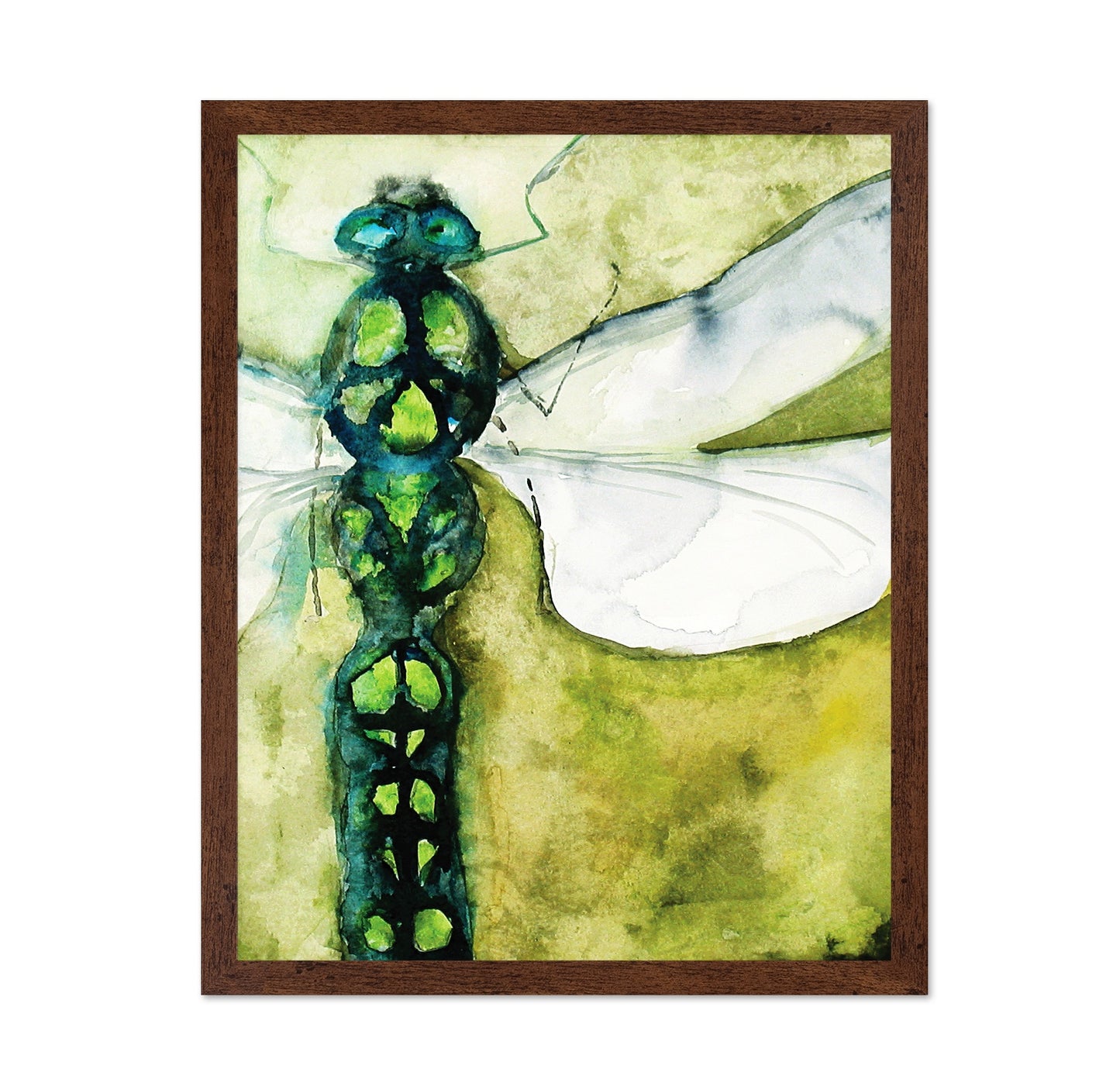 Emerald Dragonfly