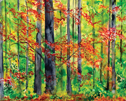 Autumn Forest Glow No1