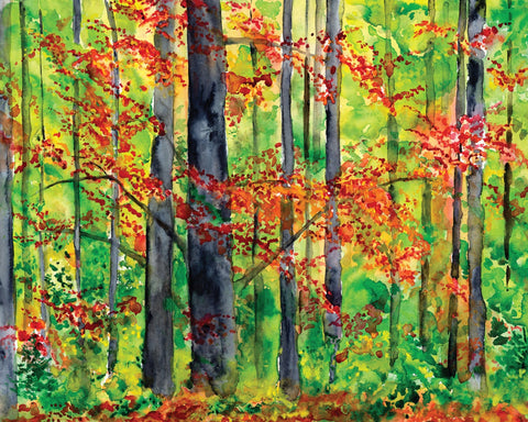 Autumn Forest Glow No1