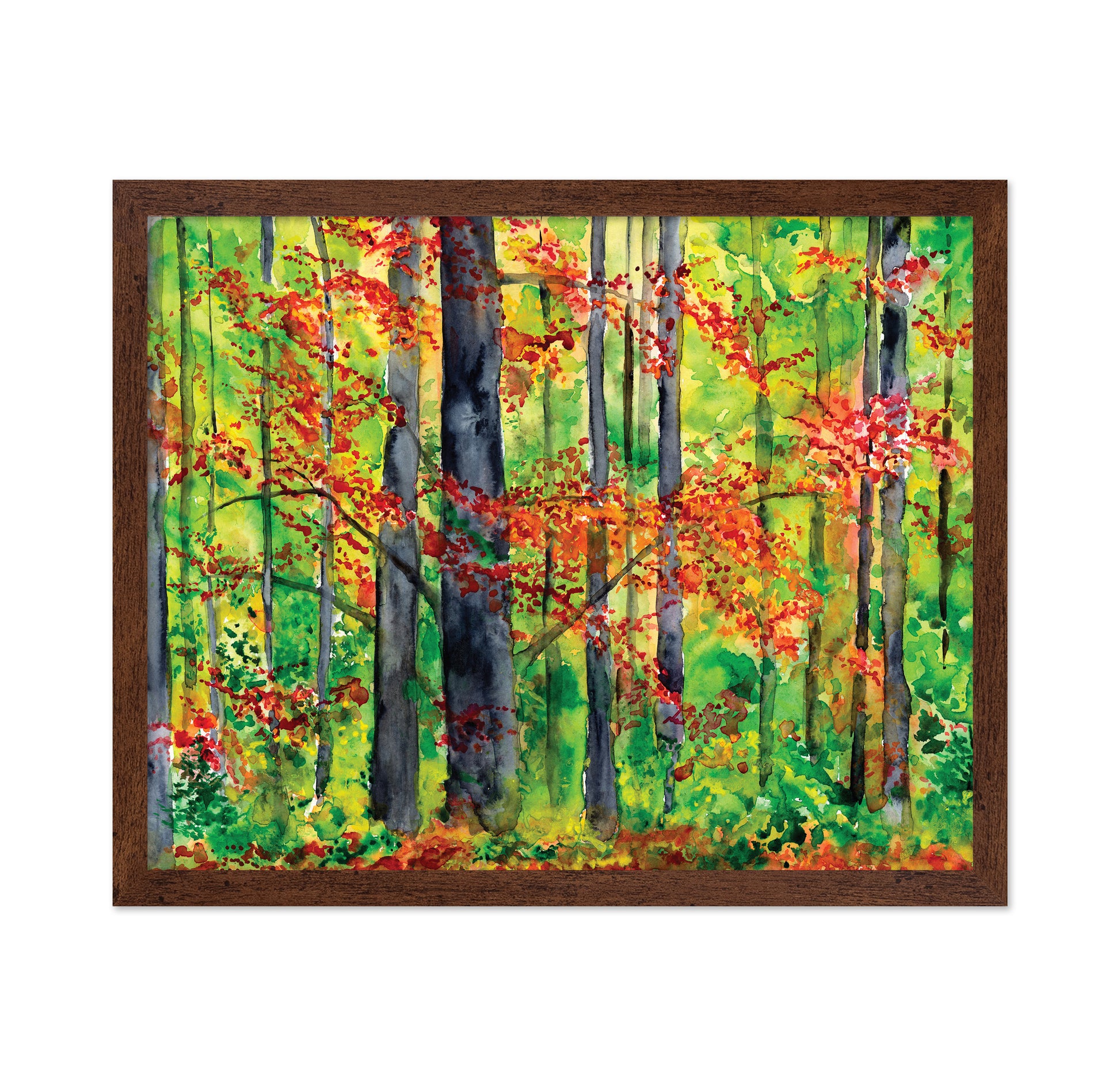 Autumn Forest Glow No1