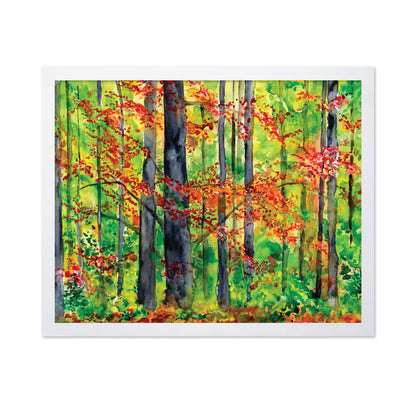 Autumn Forest Glow No1