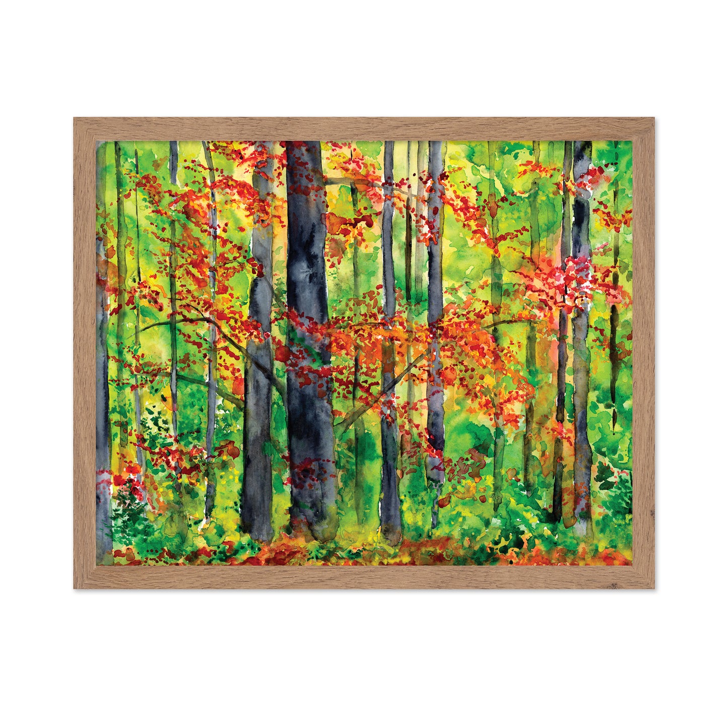 Autumn Forest Glow No1