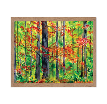 Autumn Forest Glow No1