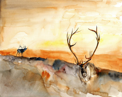 Watercolor Elk Antlers