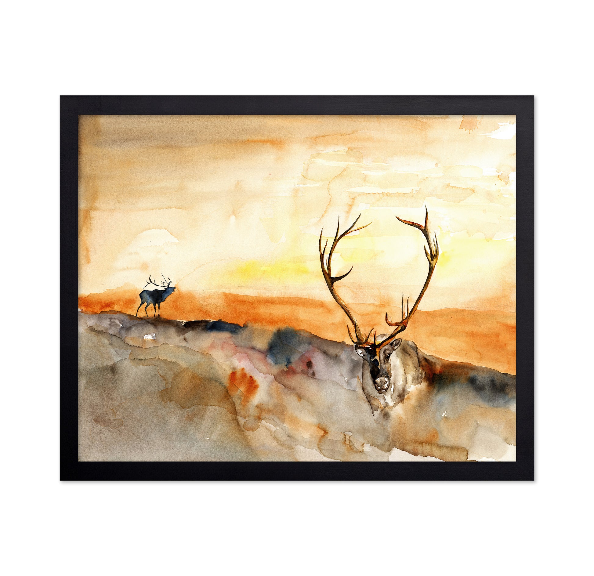 Watercolor Elk Antlers